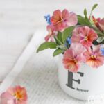 もう一度、シンプルに暮らすことにチャレンジするぞ。