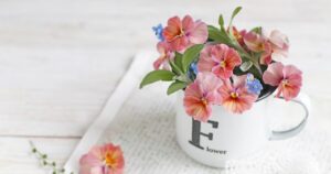 もう一度、シンプルに暮らすことにチャレンジするぞ。